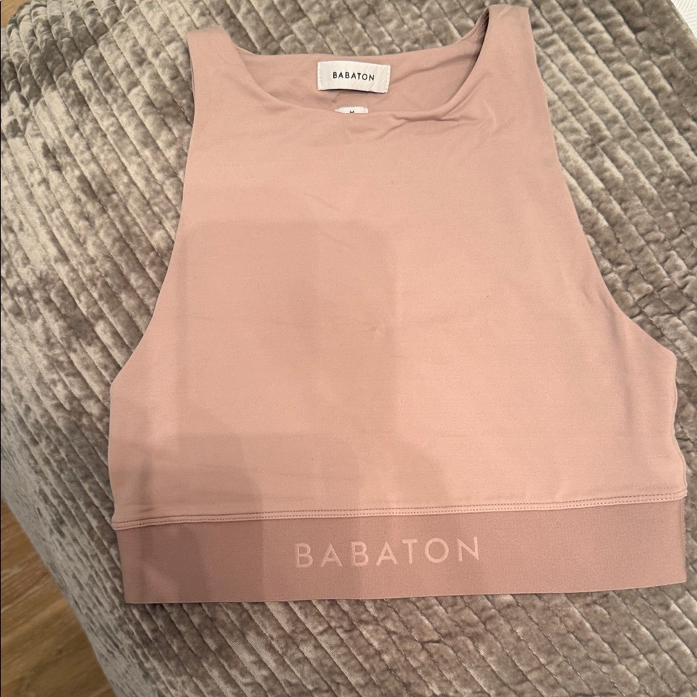 Babaton Mauve Crop Top